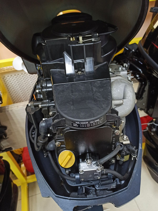 Лодочный мотор BREEZE F9,9S (4х тактный) в Чите