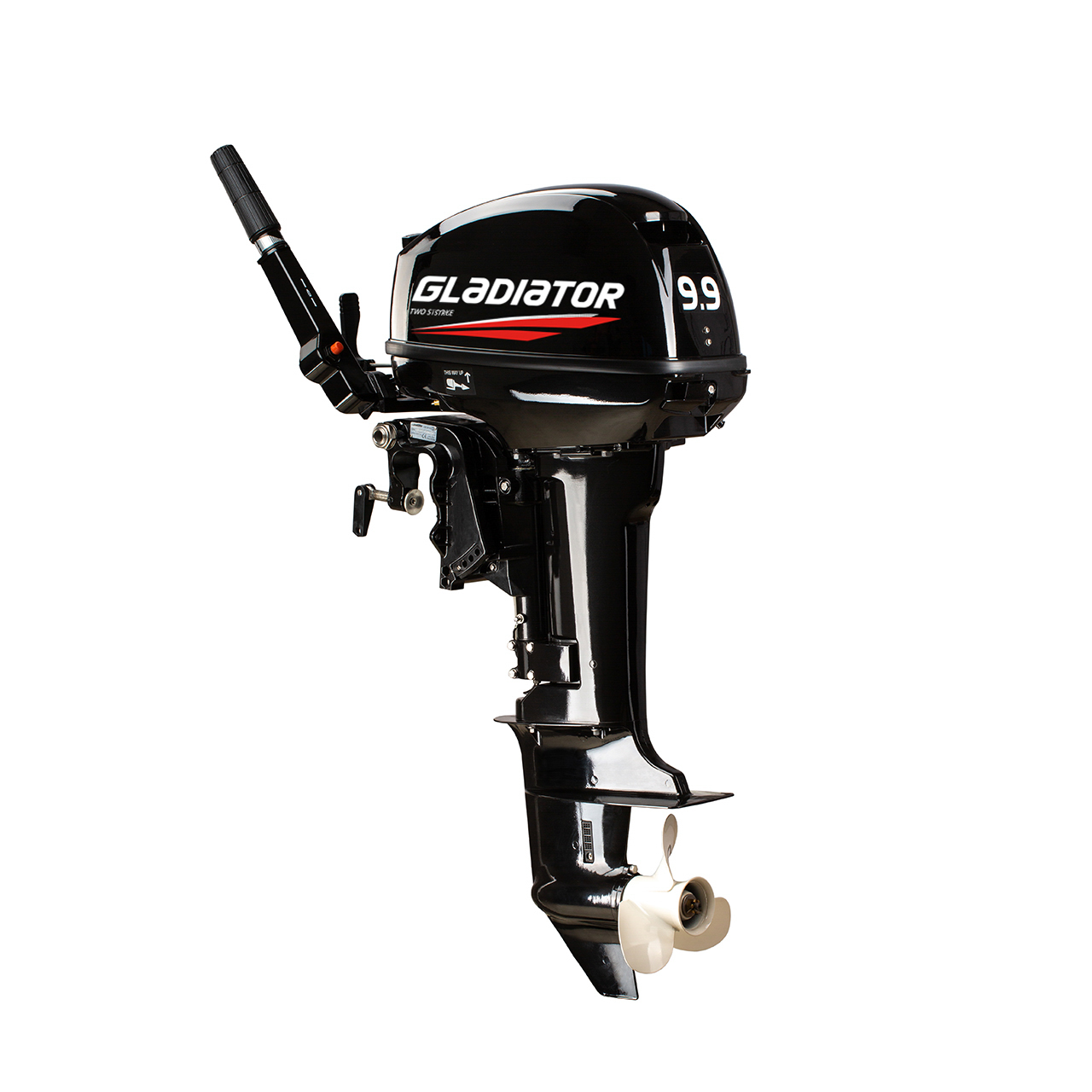 ЛОДОЧНЫЙ МОТОР GLADIATOR G9.9FHS в Чите