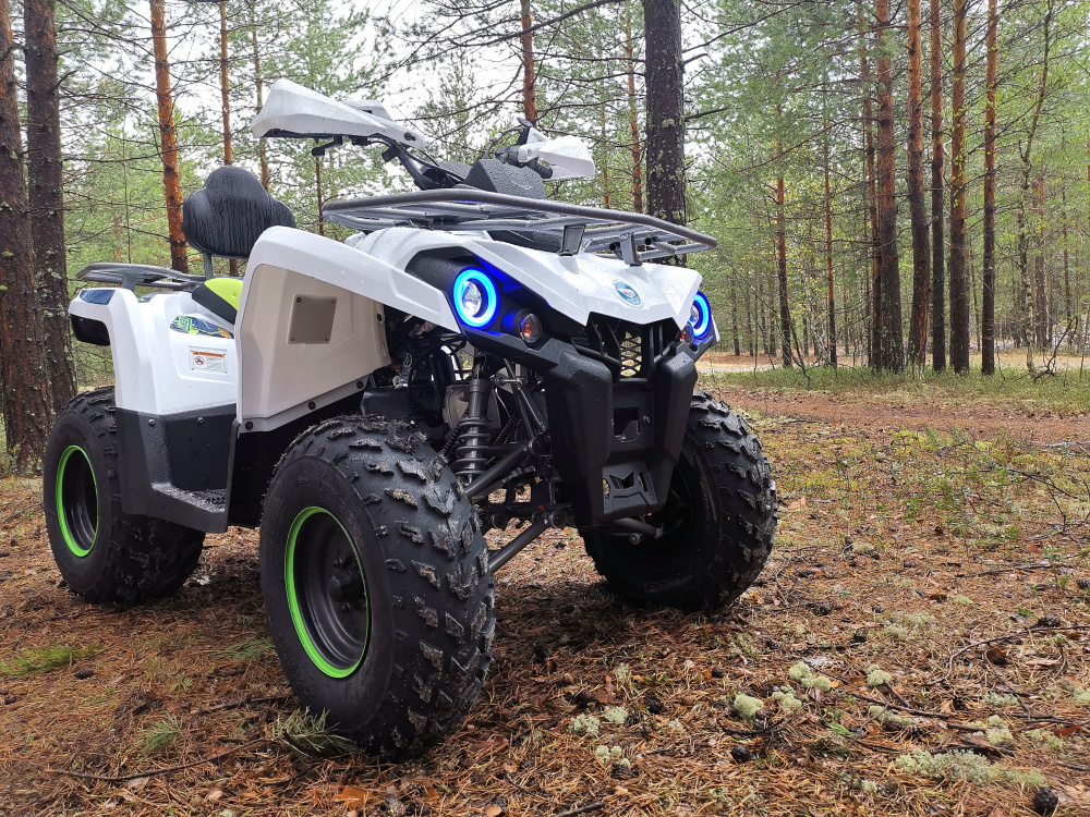 Квадроцикл PROMAX RENEGADE 280 (2025) в Чите