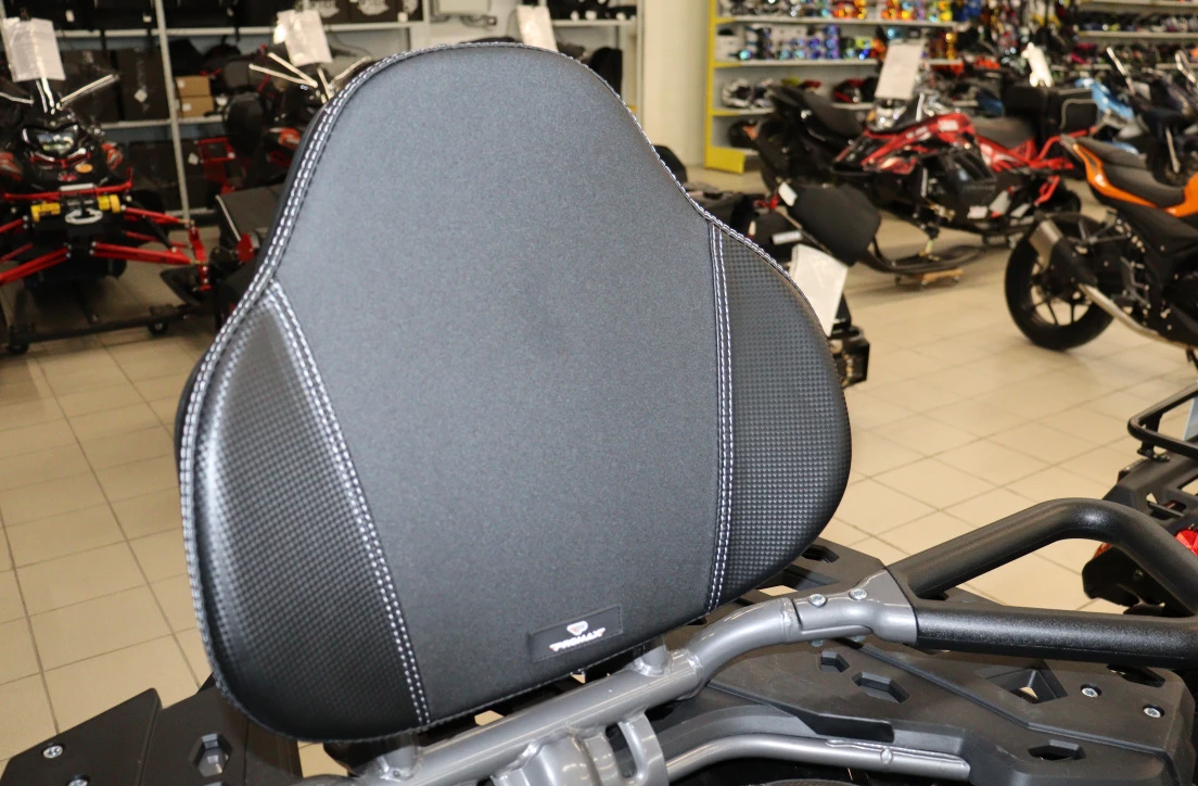 Квадроцикл PROMAX RENEGADE 300 LONG WINCH PRO (2025) в Чите