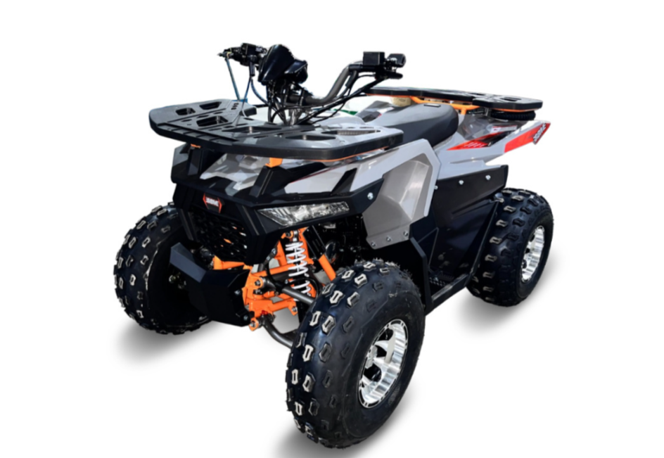 Квадроцикл GBM DAXTER 220 NEW PREMIUM в Чите