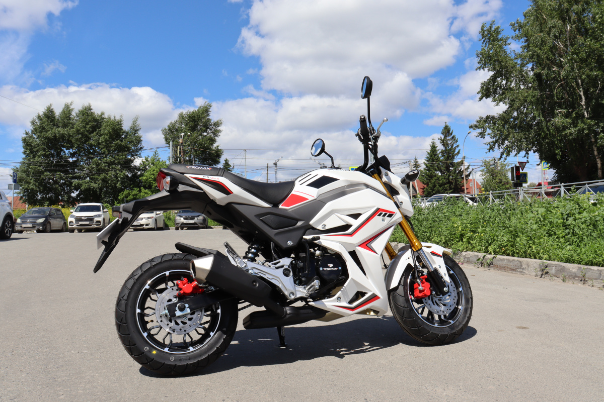 Мотоцикл PROMAX STRYKER 200(49) 2.0 в Чите