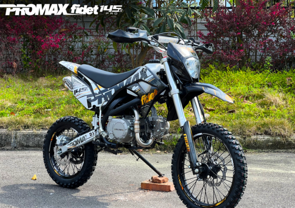Мотоцикл (питбайк) PROMAX FIDET (ФАЙДЕТ) 145E PRO 17/14 в Чите