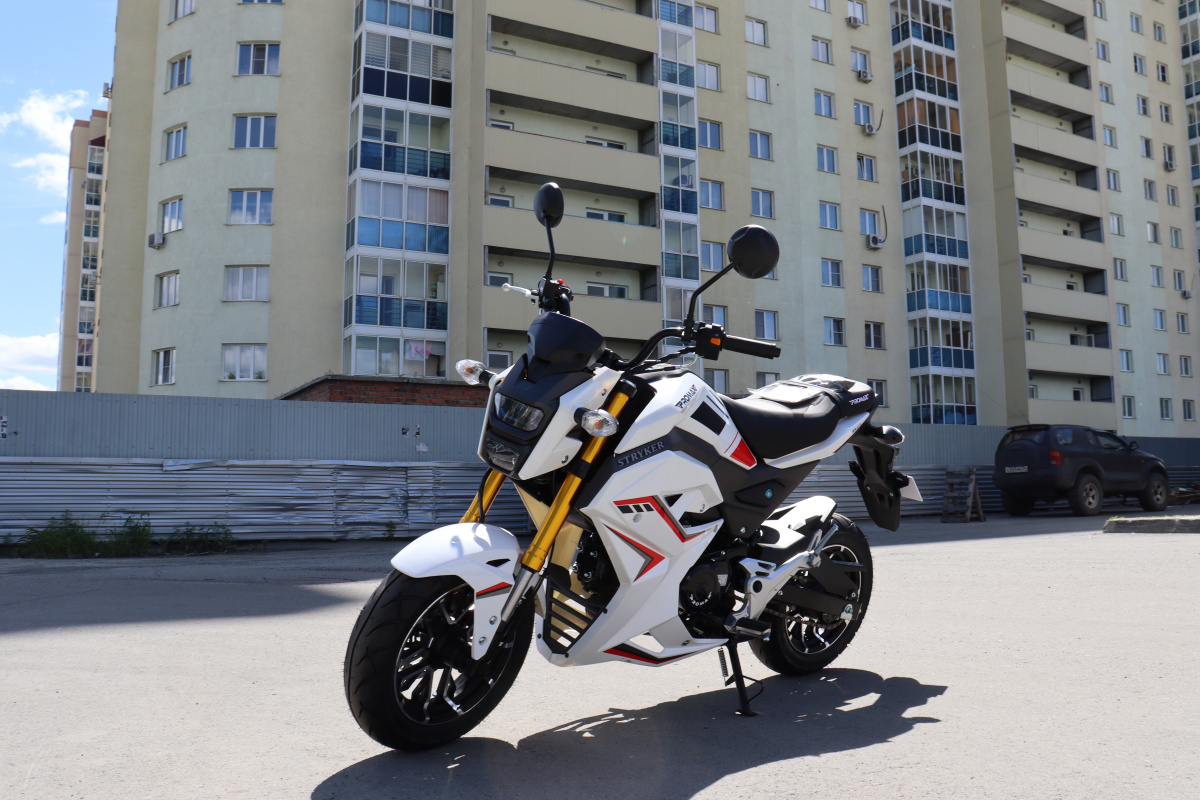 Мотоцикл PROMAX STRYKER 200(49) 2.0 в Чите