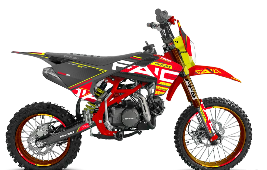 Питбайк FAIDET KAYOT 150E-PRO 17/14 в Чите