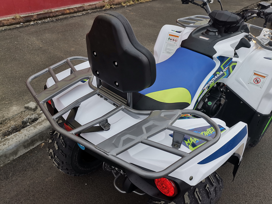 Квадроцикл PROMAX RENEGADE 280 LUX (2025) в Чите