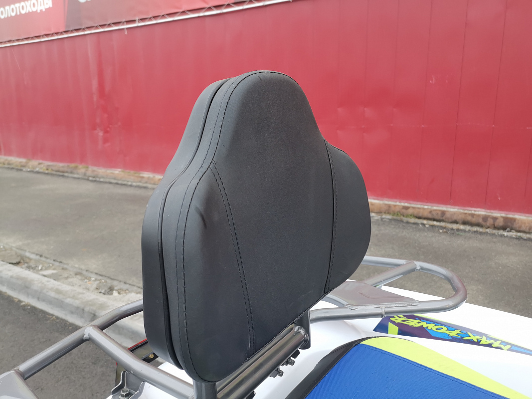 Квадроцикл PROMAX RENEGADE 280 LUX (2025) в Чите