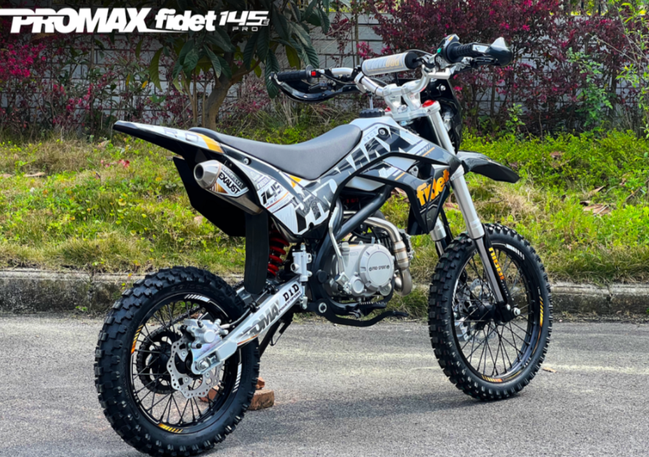 Мотоцикл (питбайк) PROMAX FIDET (ФАЙДЕТ) 145E PRO 17/14 в Чите