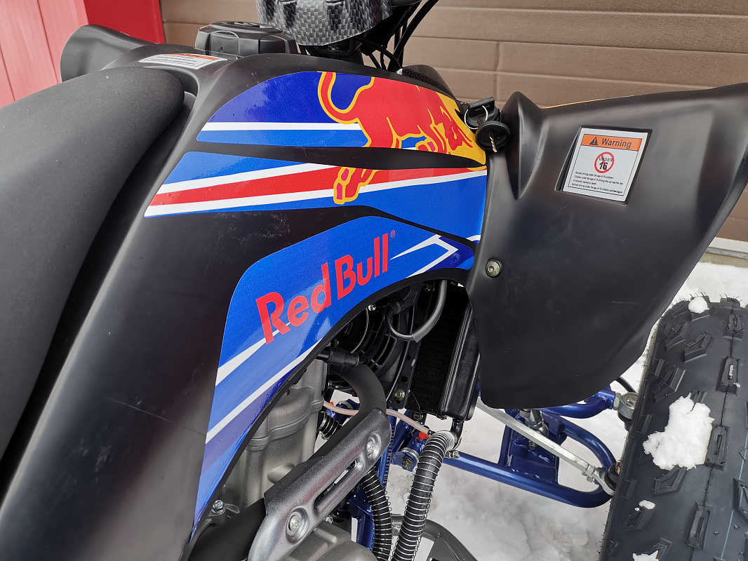 Квадроцикл PROMAX RAPTOR 300 NEW RedBull в Чите