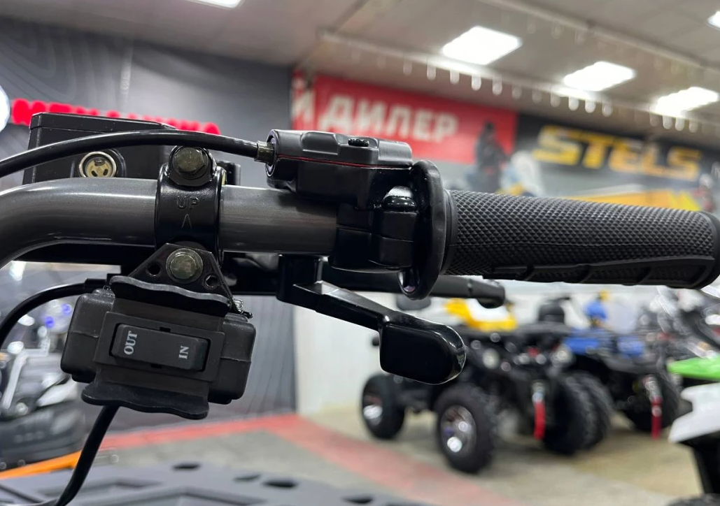 Квадроцикл PROMAX RENEGADE 300 LONG WINCH PRO (2025) в Чите