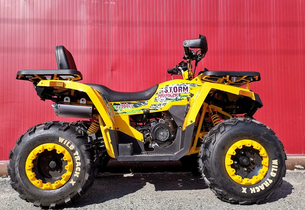 Квадроцикл PROMAX STORM 280 LUX в Чите