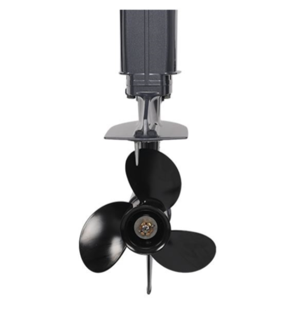 Лодочный мотор ALLFA CG Т40FW S в Чите