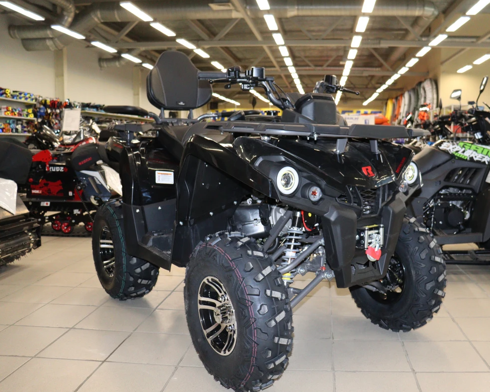 Квадроцикл PROMAX RENEGADE 300 LONG WINCH PRO (2025) в Чите