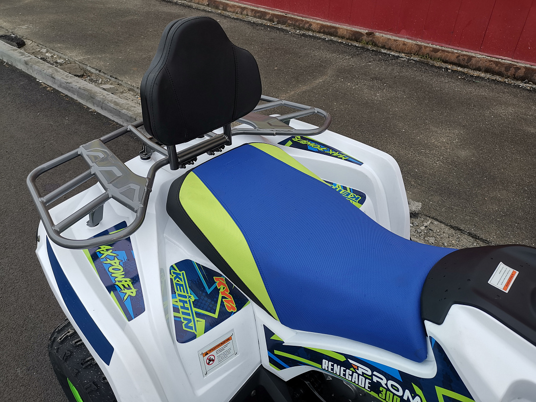 Квадроцикл PROMAX RENEGADE 280 LUX (2025) в Чите