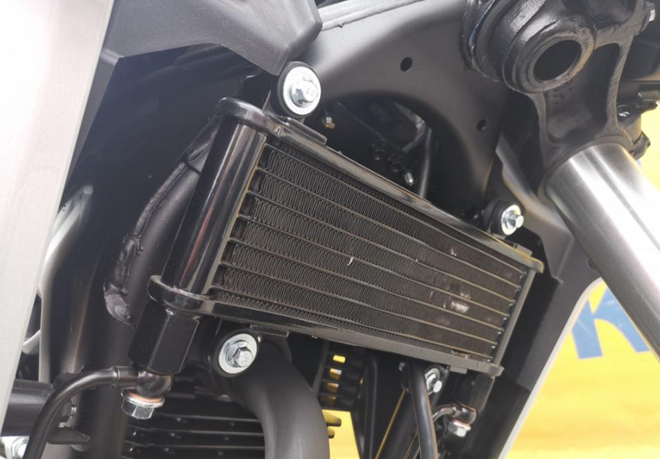 Мотоцикл MOTOLAND (МОТОЛЕНД) 250 CB250 (172FMM-5/PR250) (2022 г.) в Чите