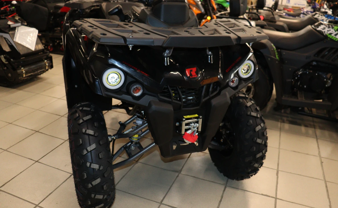 Квадроцикл PROMAX RENEGADE 300 LONG WINCH PRO (2025) в Чите