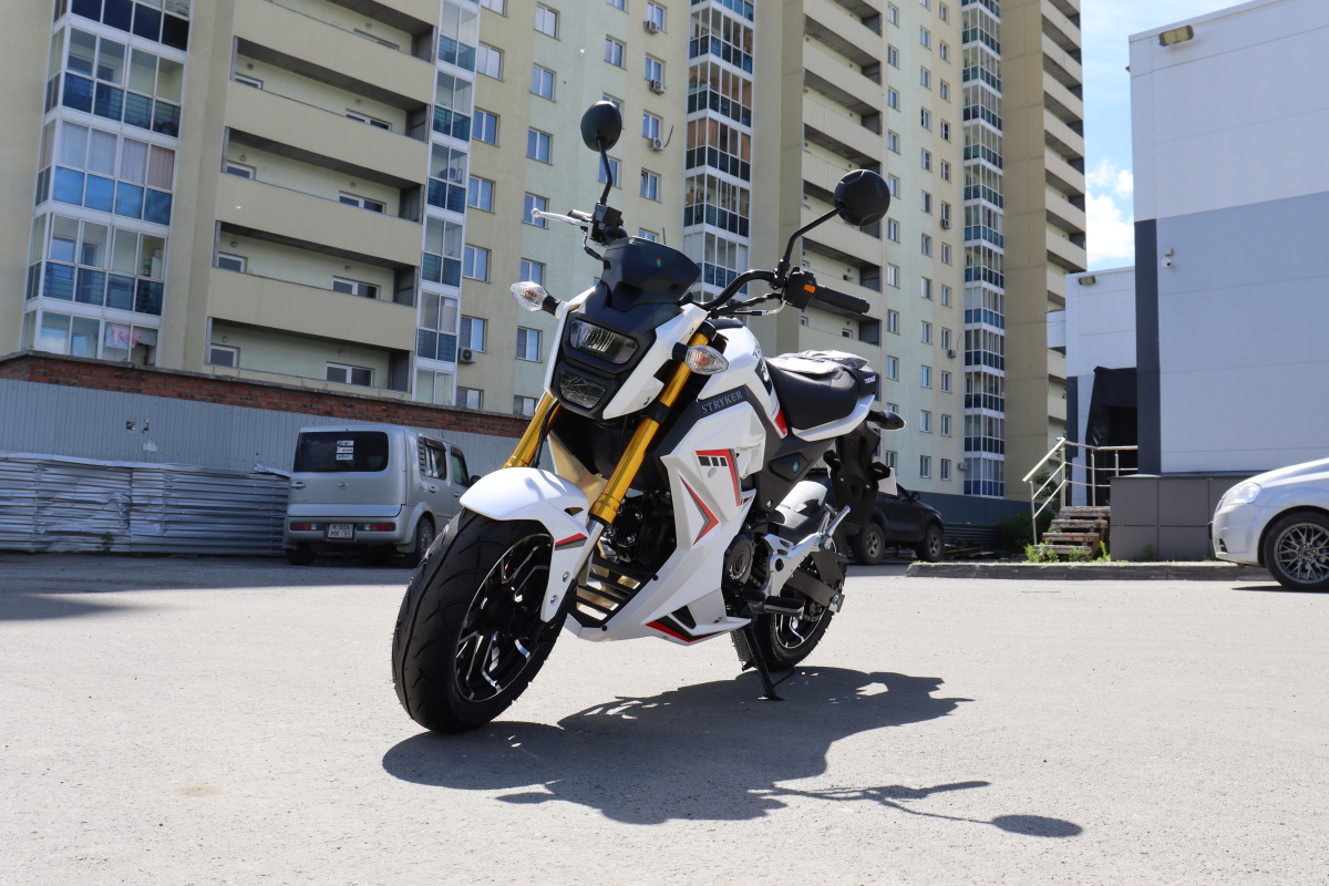 Мотоцикл PROMAX STRYKER 200(49) 2.0 в Чите