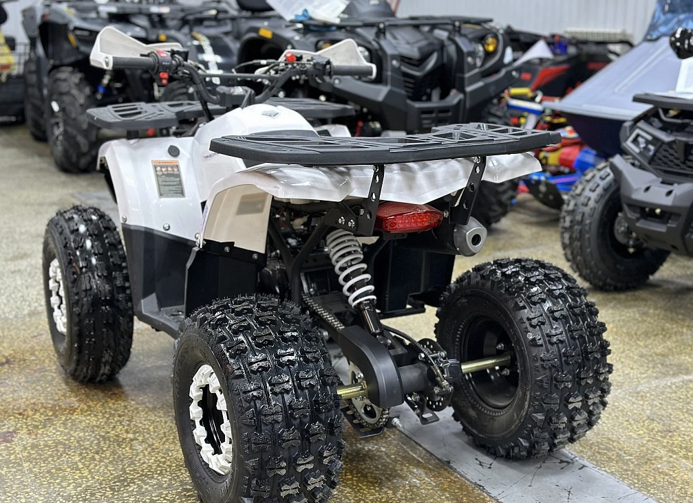 Квадроцикл PROMAX WILD 2.0 190 в Чите