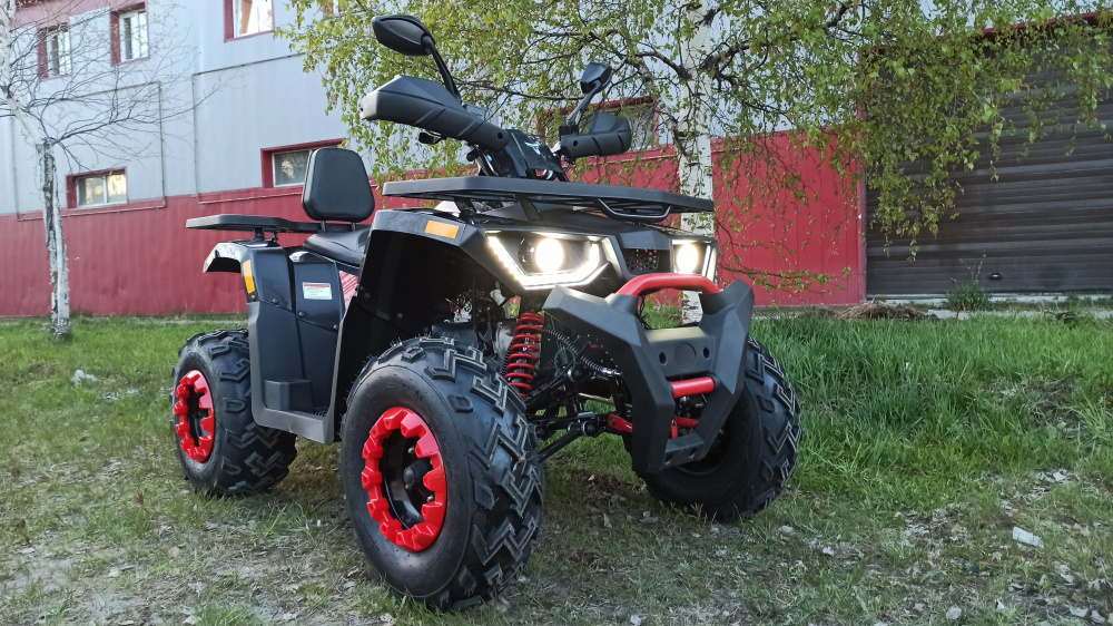 Квадроцикл PROMAX WILD 300 LUX (2024) в Чите