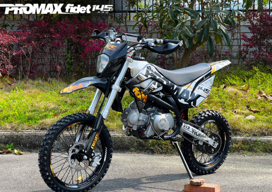 Мотоцикл (питбайк) PROMAX FIDET (ФАЙДЕТ) 145E PRO 17/14 в Чите