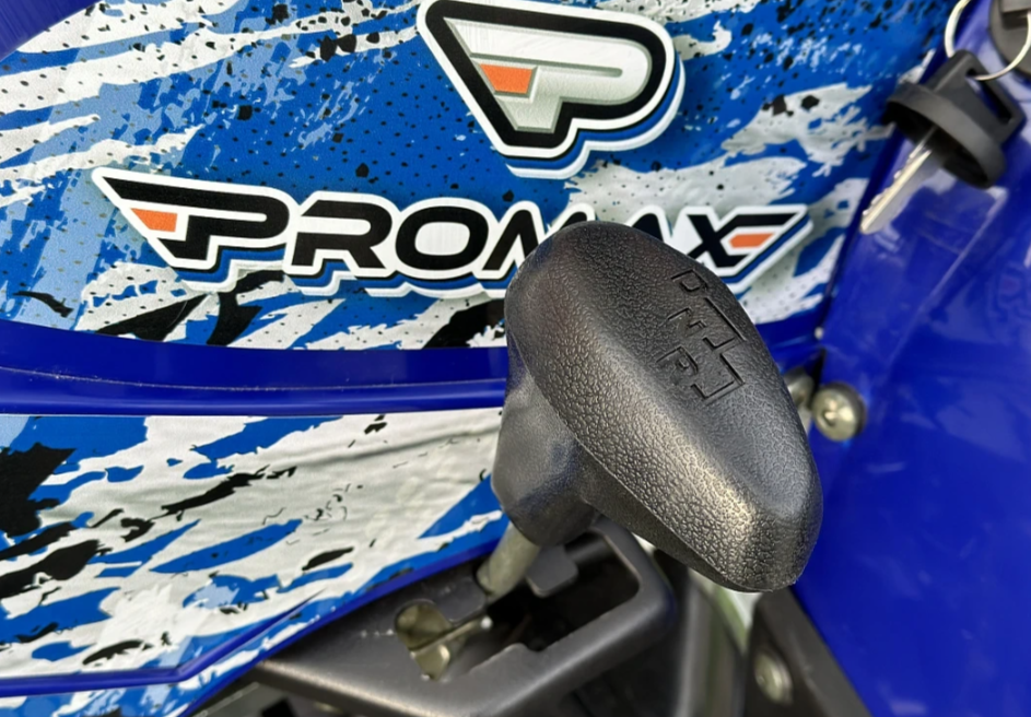  Квадроцикл PROMAX ATV 250 MAX (2025) в Чите