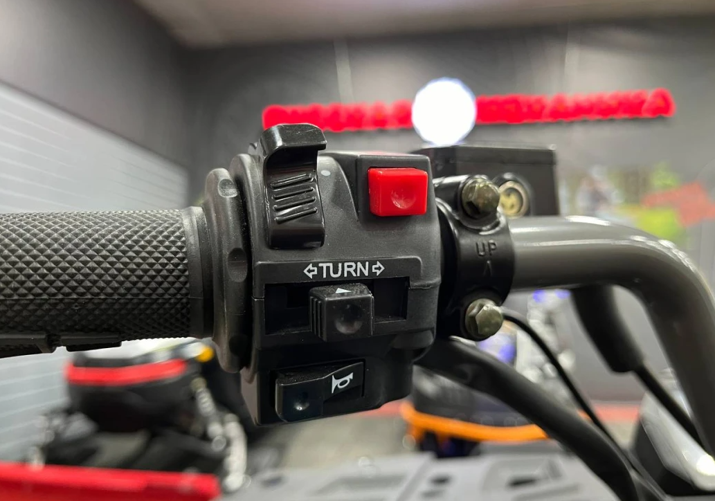 Квадроцикл PROMAX RENEGADE 300 LONG WINCH PRO (2025) в Чите