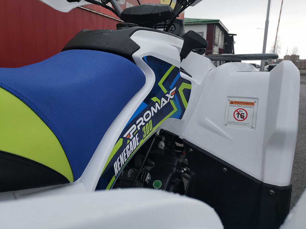 Квадроцикл PROMAX RENEGADE 280 LUX (2025) в Чите