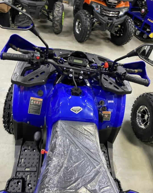 Квадроцикл PROMAX WILD 2.0 190 PRO (2025) в Чите