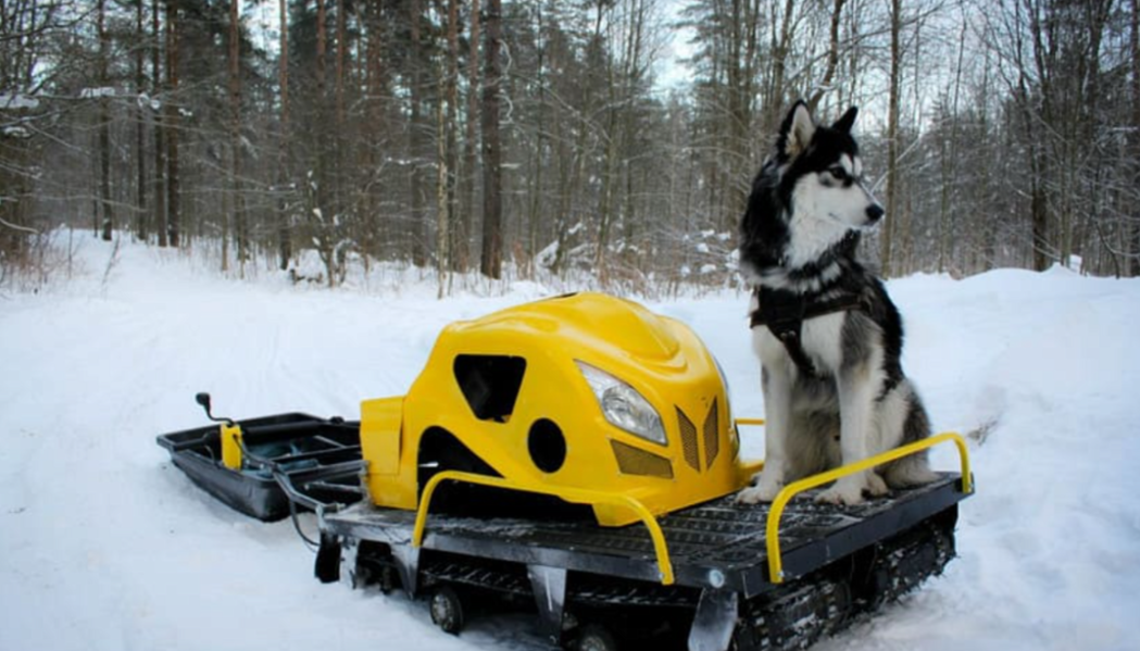 Мотобуксировщик LEBEDEV MOTORS ВОЛКОДАВ POWER V13 в Чите