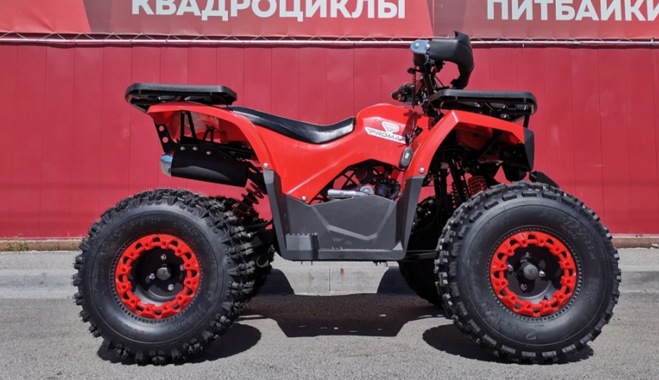 Квадроцикл PROMAX WILD 175 BASIC в Чите