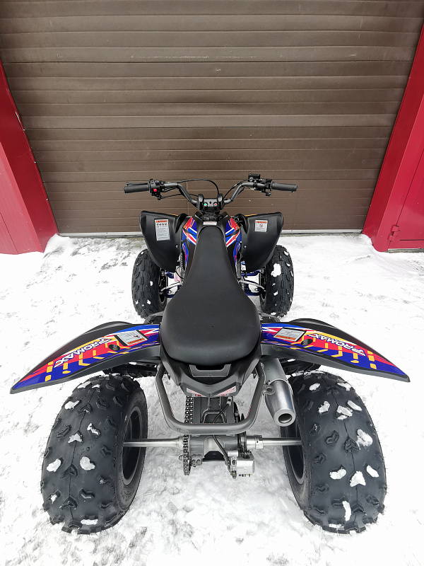 Квадроцикл PROMAX RAPTOR 300 NEW RedBull в Чите