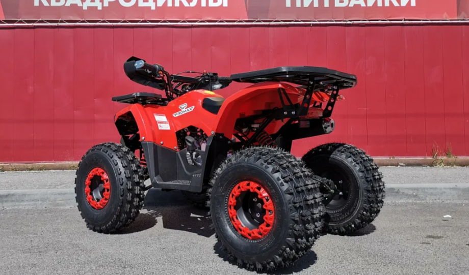 Квадроцикл PROMAX WILD 175 BASIC в Чите