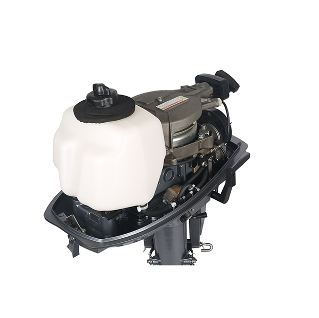 ЛОДОЧНЫЙ МОТОР ALLFA CG T5 в Чите