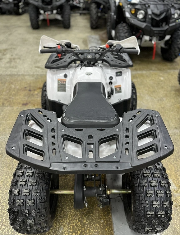 Квадроцикл PROMAX WILD 2.0 190 в Чите