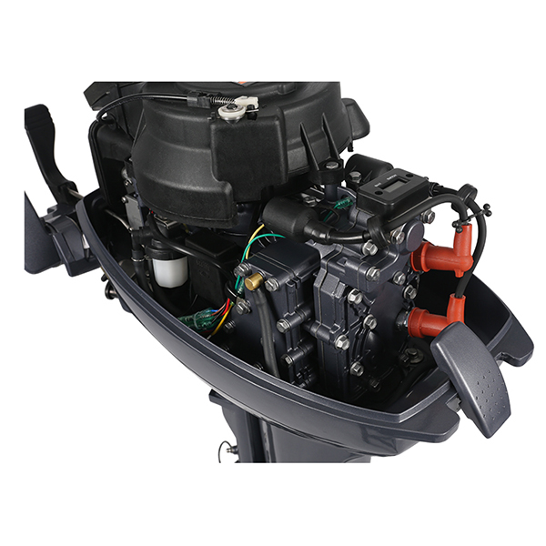 ЛОДОЧНЫЙ МОТОР ALLFA CG Т9,9 в Чите