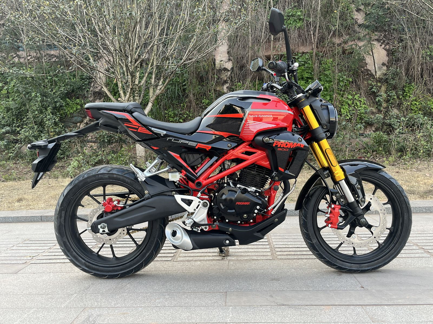 Мотоцикл PROMAX CB300RL (4V, 6G) в Чите