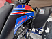 Квадроцикл PROMAX RAPTOR 300 NEW RedBull в Чите