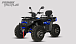 Квадроцикл PROMAX TAURUS 300 MAX-PRO LONG в Чите
