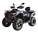 Квадроцикл MOTOLAND (МОТОЛЕНД) 300 MAX X в Чите