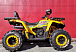Квадроцикл PROMAX STORM 280 LUX в Чите
