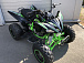 Квадроцикл PROMAX RAPTOR 300 NEW Monster в Чите