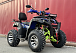  Квадроцикл PROMAX ATV 250 MAX (2025) в Чите