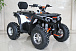 Квадроцикл GBM STORMRIDER 320 PREMIUM в Чите