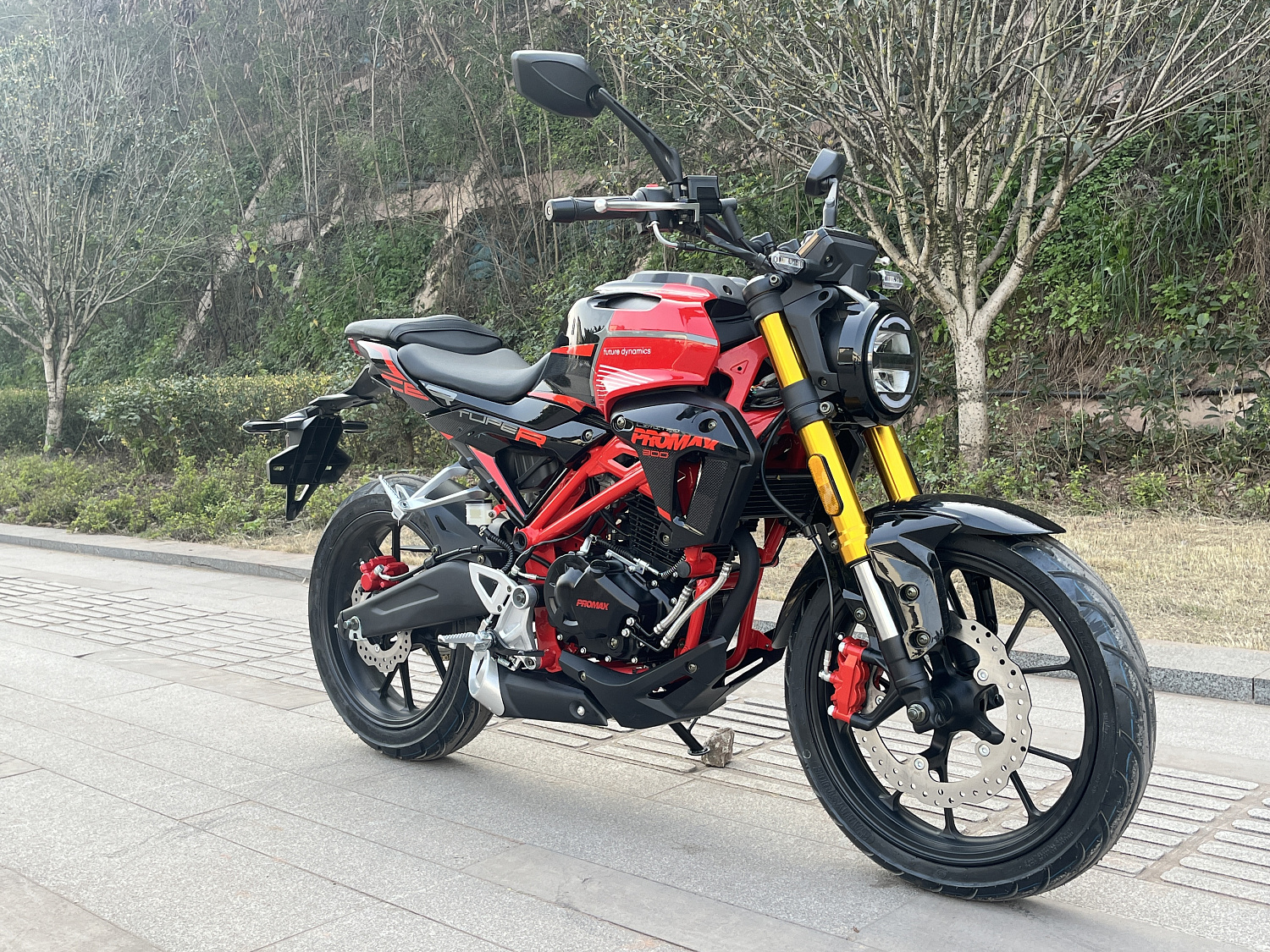 Мотоцикл PROMAX CB300 в Чите