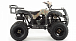 Квадроцикл MOTOLAND (МОТОЛЕНД) 200 ALL ROAD в Чите