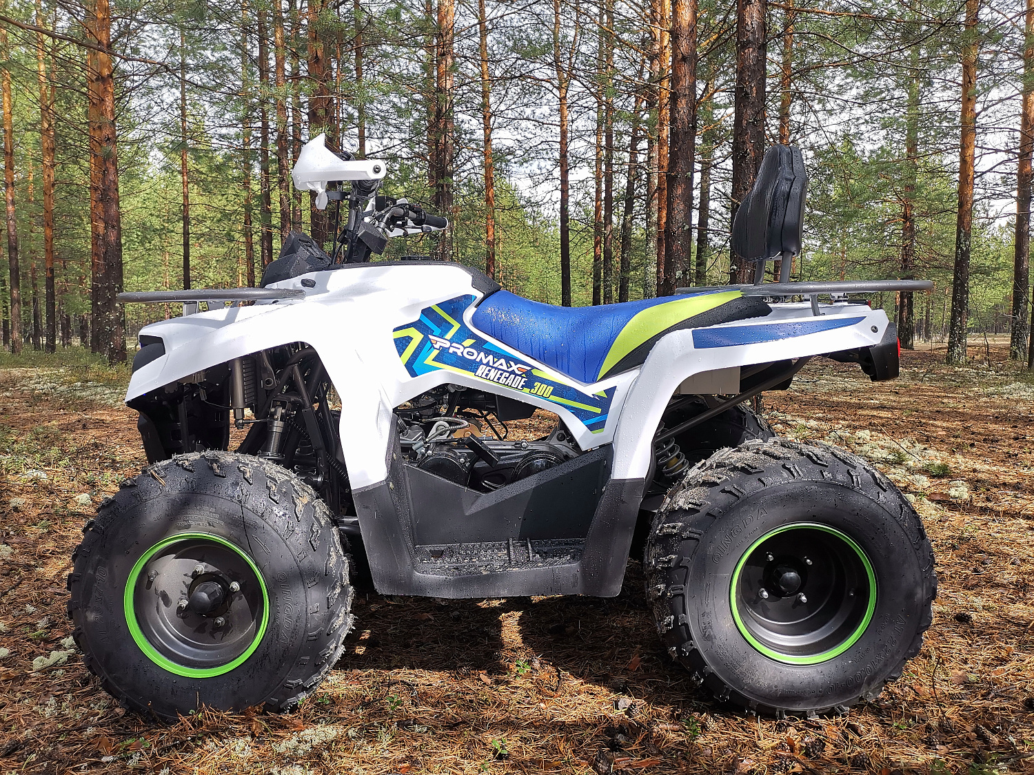 Квадроцикл PROMAX RENEGADE 280 (2025) в Чите