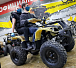 Квадроцикл PROMAX ATV 250 (2025) в Чите