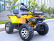 Квадроцикл MOTOLAND (МОТОЛЕНД) VOX200 WILD TRACK X PRO (баланс. вал) в Чите