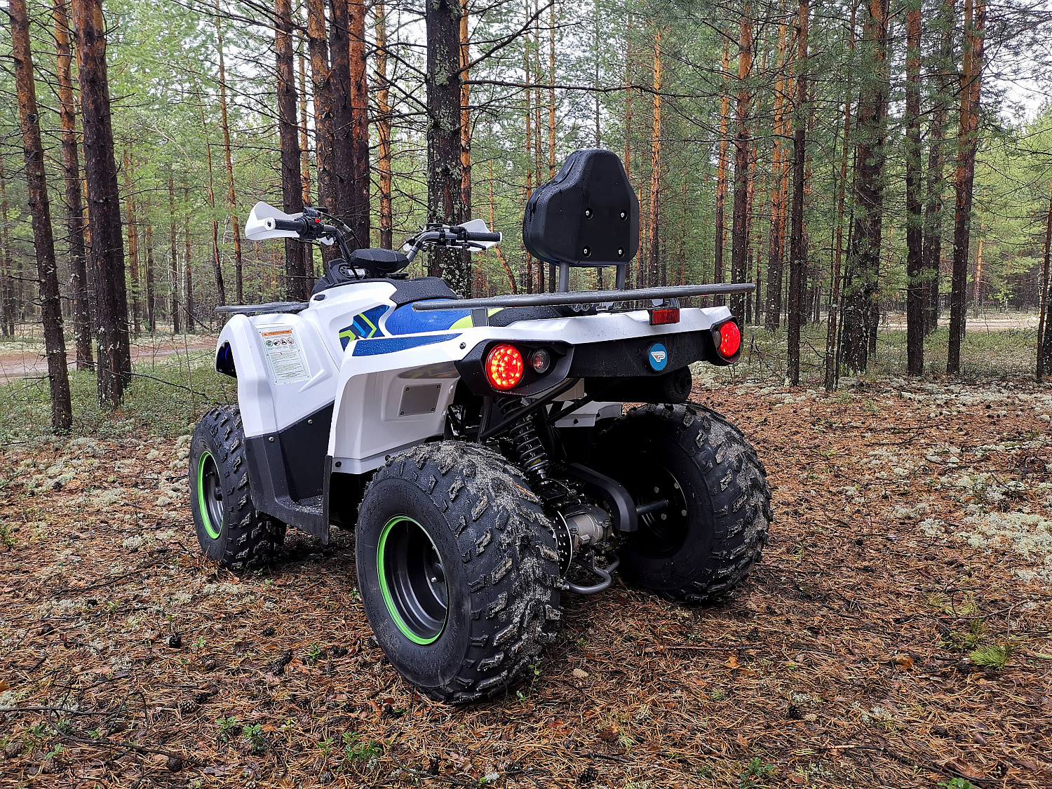 Квадроцикл PROMAX RENEGADE 280 (2025) в Чите
