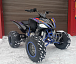 Квадроцикл PROMAX RAPTOR 300 NEW RedBull в Чите